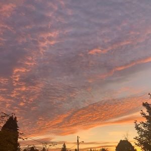 Meet your Posher, Celeste